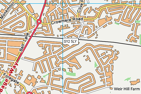 SY2 5LY map - OS VectorMap District (Ordnance Survey)