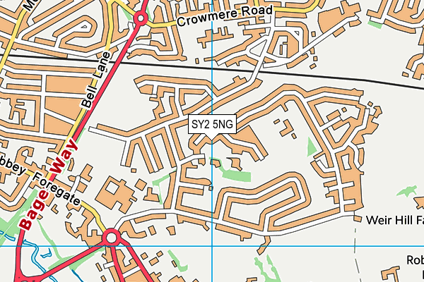 SY2 5NG map - OS VectorMap District (Ordnance Survey)