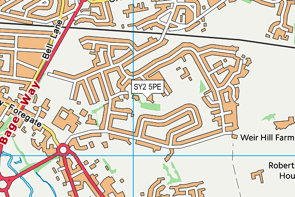 SY2 5PE map - OS VectorMap District (Ordnance Survey)
