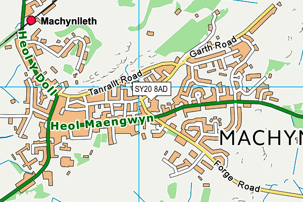 SY20 8AD map - OS VectorMap District (Ordnance Survey)