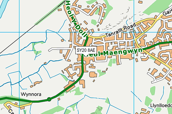 SY20 8AE map - OS VectorMap District (Ordnance Survey)