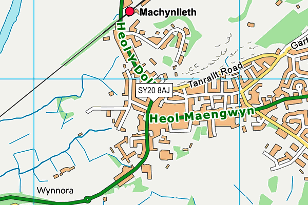 SY20 8AJ map - OS VectorMap District (Ordnance Survey)