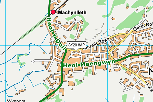 SY20 8AP map - OS VectorMap District (Ordnance Survey)