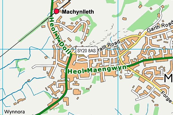 SY20 8AS map - OS VectorMap District (Ordnance Survey)