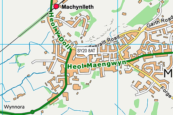 SY20 8AT map - OS VectorMap District (Ordnance Survey)