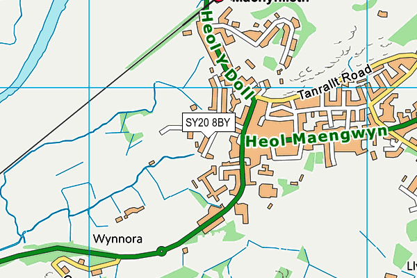 SY20 8BY map - OS VectorMap District (Ordnance Survey)