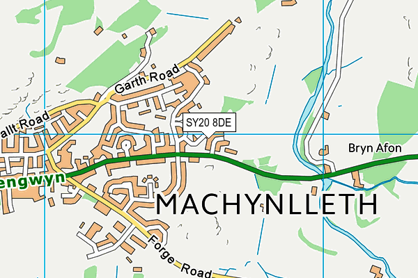 SY20 8DE map - OS VectorMap District (Ordnance Survey)