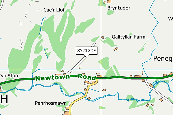 SY20 8DF map - OS VectorMap District (Ordnance Survey)