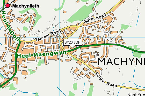 SY20 8DH map - OS VectorMap District (Ordnance Survey)