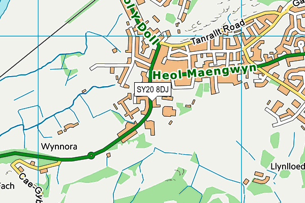 SY20 8DJ map - OS VectorMap District (Ordnance Survey)