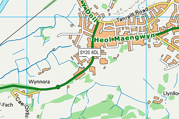 SY20 8DL map - OS VectorMap District (Ordnance Survey)