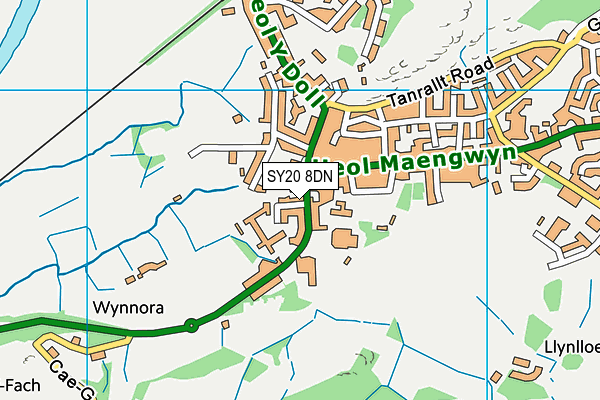 SY20 8DN map - OS VectorMap District (Ordnance Survey)