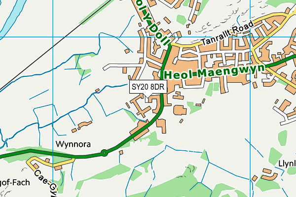 Ysgol Bro Hyddgen map (SY20 8DR) - OS VectorMap District (Ordnance Survey)