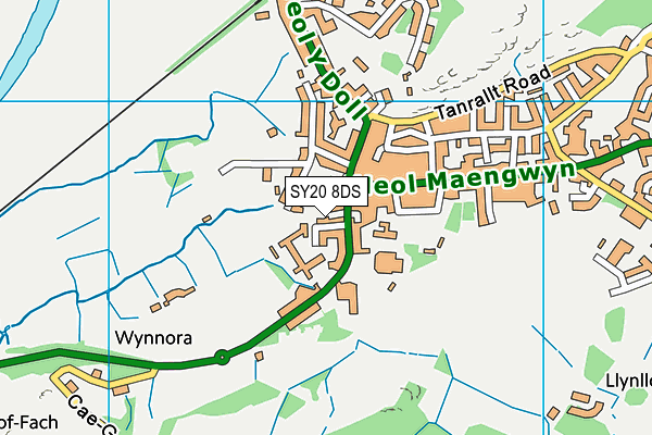 SY20 8DS map - OS VectorMap District (Ordnance Survey)