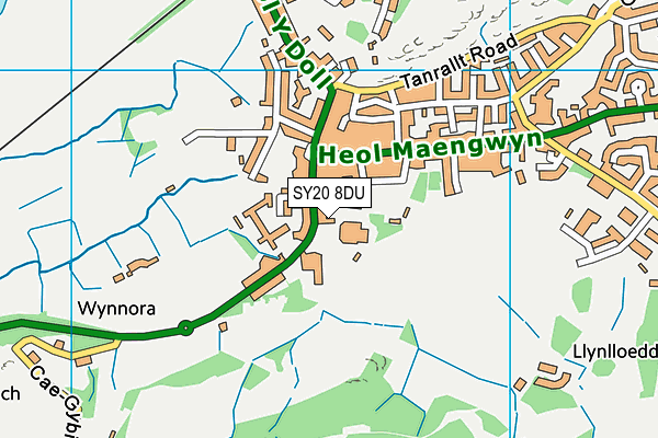 SY20 8DU map - OS VectorMap District (Ordnance Survey)