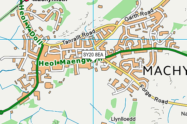 SY20 8EA map - OS VectorMap District (Ordnance Survey)