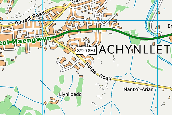 SY20 8EJ map - OS VectorMap District (Ordnance Survey)