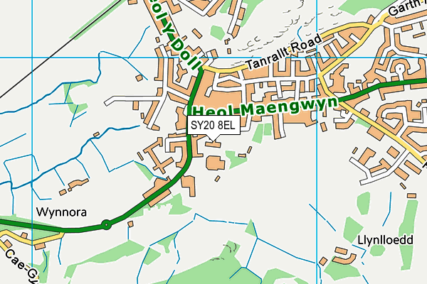 SY20 8EL map - OS VectorMap District (Ordnance Survey)