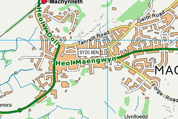 SY20 8EN map - OS VectorMap District (Ordnance Survey)