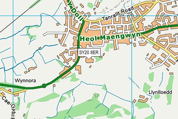 SY20 8ER map - OS VectorMap District (Ordnance Survey)