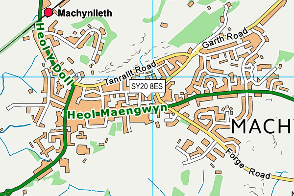 SY20 8ES map - OS VectorMap District (Ordnance Survey)