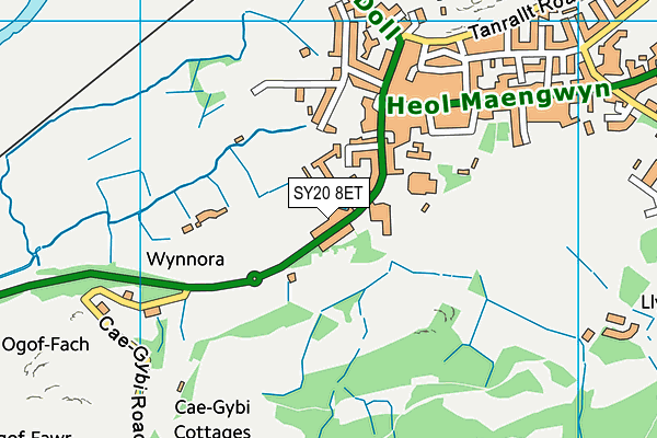 SY20 8ET map - OS VectorMap District (Ordnance Survey)