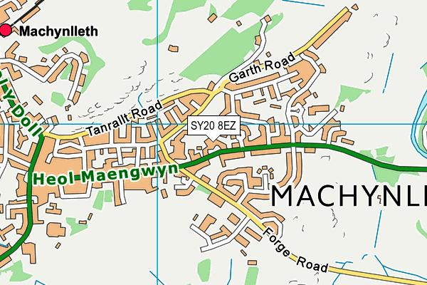 SY20 8EZ map - OS VectorMap District (Ordnance Survey)