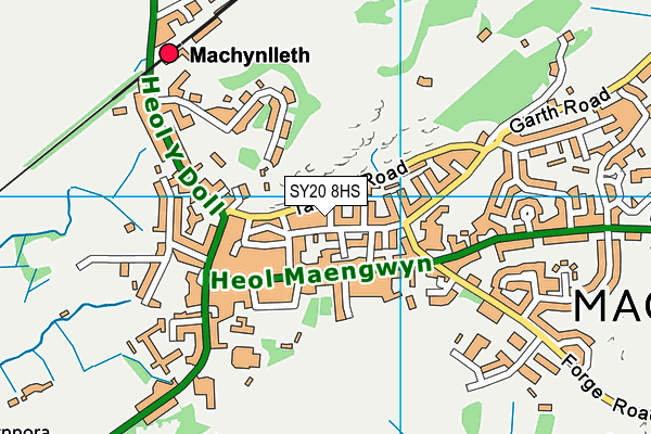 SY20 8HS map - OS VectorMap District (Ordnance Survey)
