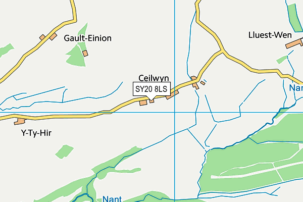 SY20 8LS map - OS VectorMap District (Ordnance Survey)