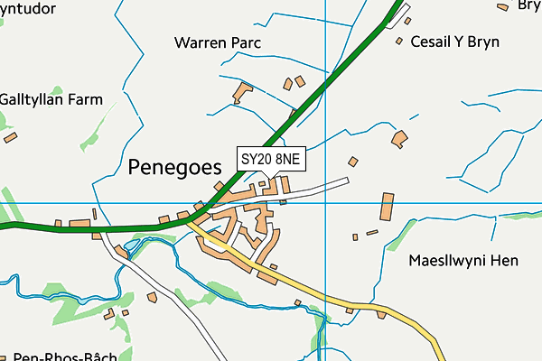 SY20 8NE map - OS VectorMap District (Ordnance Survey)