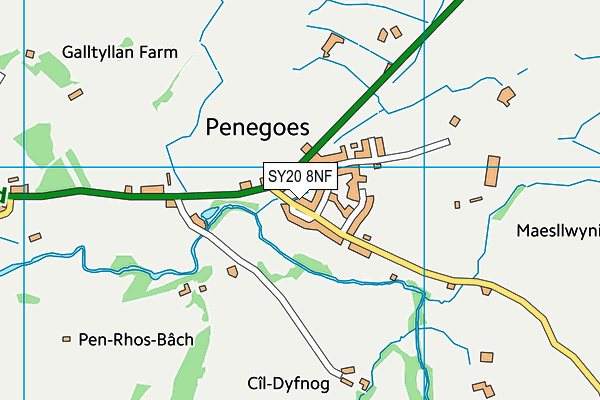 SY20 8NF map - OS VectorMap District (Ordnance Survey)