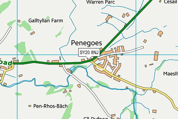 SY20 8NJ map - OS VectorMap District (Ordnance Survey)