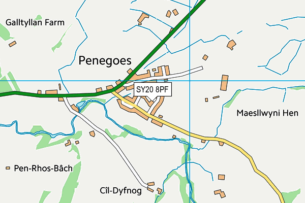 SY20 8PF map - OS VectorMap District (Ordnance Survey)