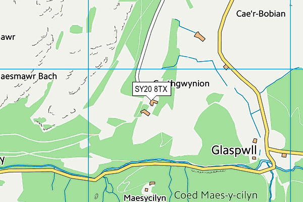 SY20 8TX map - OS VectorMap District (Ordnance Survey)