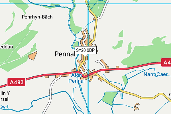 SY20 9DP map - OS VectorMap District (Ordnance Survey)