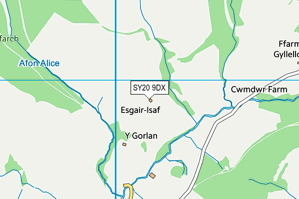 SY20 9DX map - OS VectorMap District (Ordnance Survey)