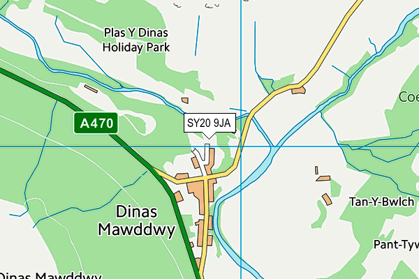 SY20 9JA map - OS VectorMap District (Ordnance Survey)