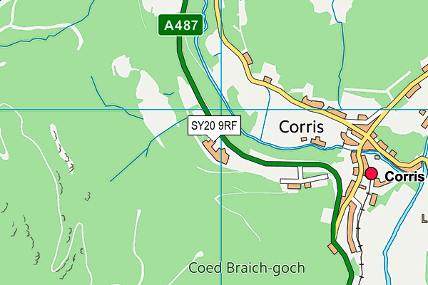 SY20 9RF map - OS VectorMap District (Ordnance Survey)