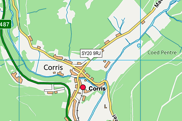 SY20 9RJ map - OS VectorMap District (Ordnance Survey)