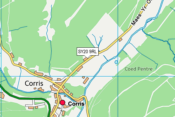 SY20 9RL map - OS VectorMap District (Ordnance Survey)