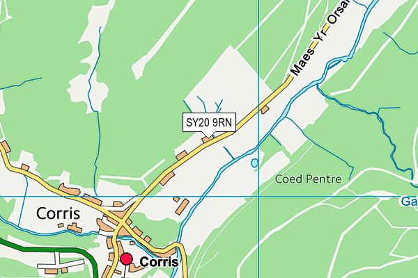 SY20 9RN map - OS VectorMap District (Ordnance Survey)