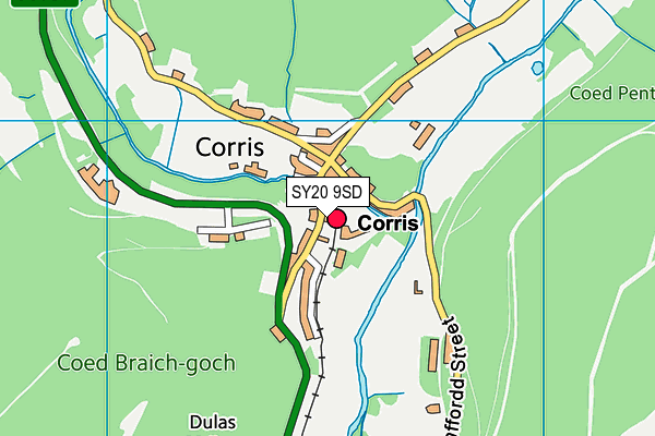 SY20 9SD map - OS VectorMap District (Ordnance Survey)