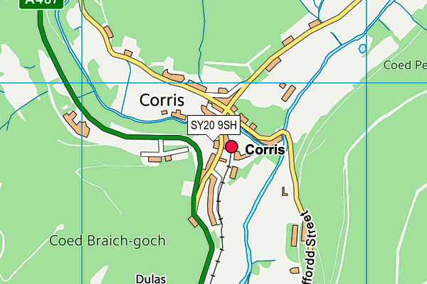 SY20 9SH map - OS VectorMap District (Ordnance Survey)