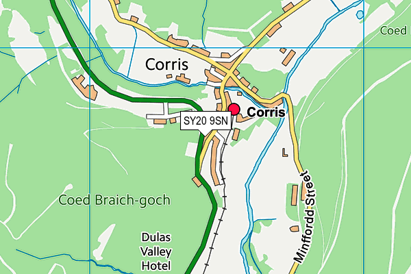 SY20 9SN map - OS VectorMap District (Ordnance Survey)