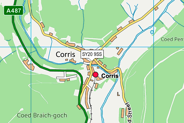 SY20 9SS map - OS VectorMap District (Ordnance Survey)