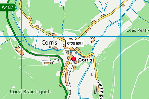 SY20 9SU map - OS VectorMap District (Ordnance Survey)