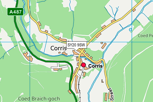 SY20 9SW map - OS VectorMap District (Ordnance Survey)