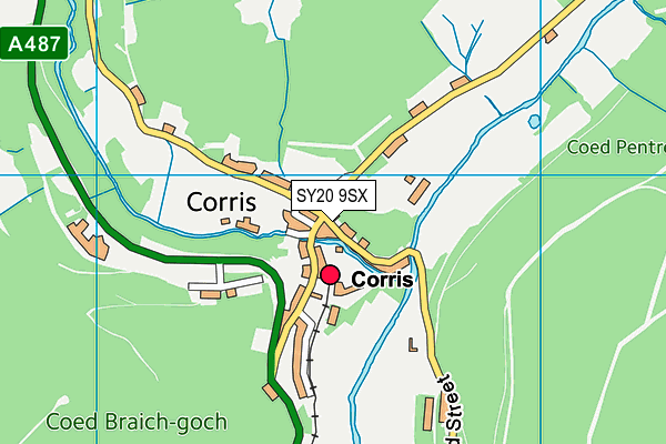 SY20 9SX map - OS VectorMap District (Ordnance Survey)