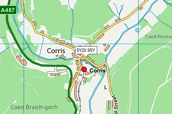 SY20 9SY map - OS VectorMap District (Ordnance Survey)