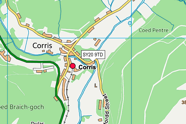 SY20 9TD map - OS VectorMap District (Ordnance Survey)